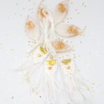 ΚΟΛΙΕ - ΚΩΔ.7-0