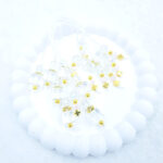 ΜΠΕΓΛΕΡΙ - R70-25-0