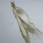 Κρεμαστή Μπομπονιέρα Βάπτισης – Plexiglass Louis Vuitton σε Χρυσό & Εκρού