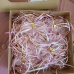 Βαπτιστικό Πακέτο Μονόκερος – ΧΕΙΡΟΠΟΙΗΤΟ - Image 4